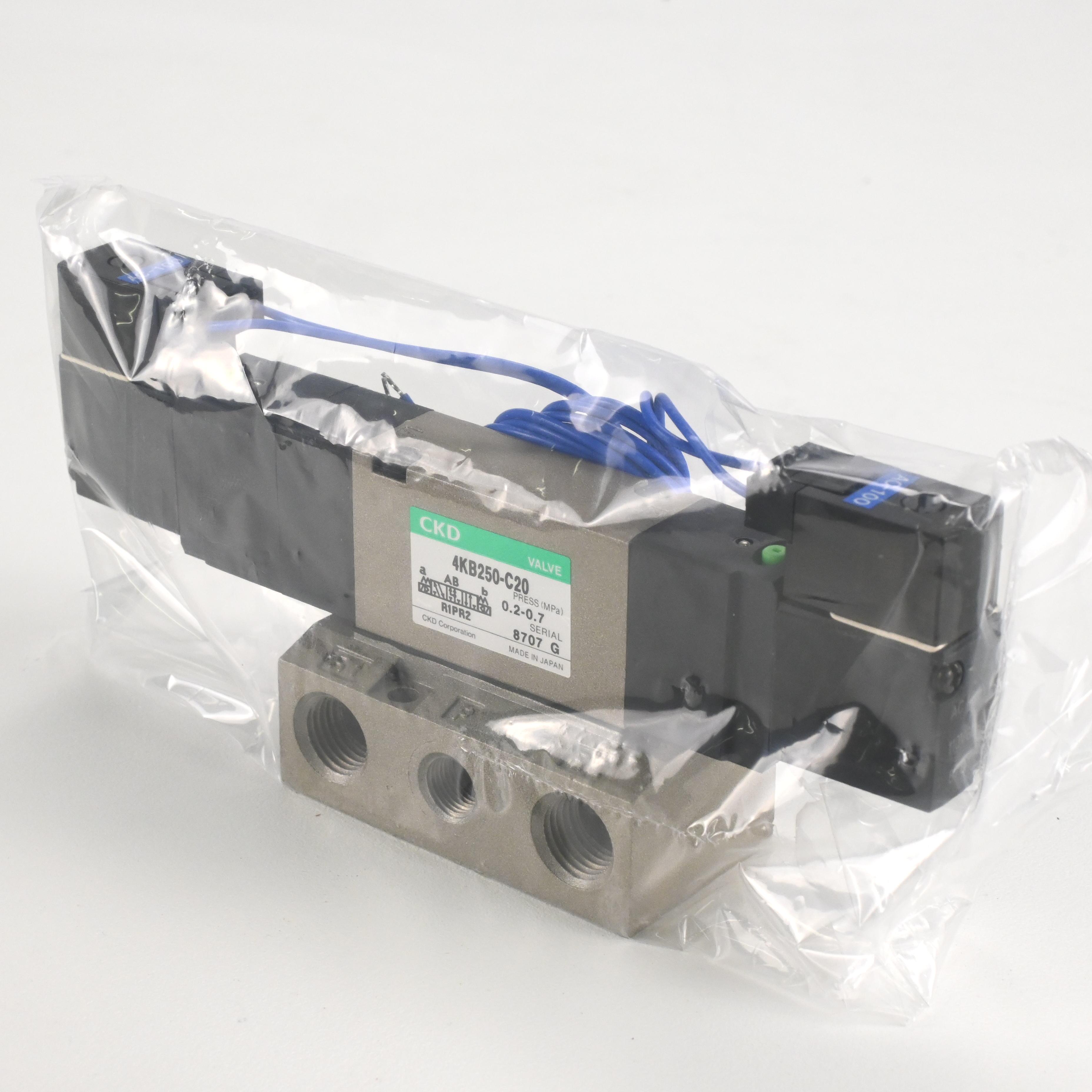 4KB250-06-C20-AC100V